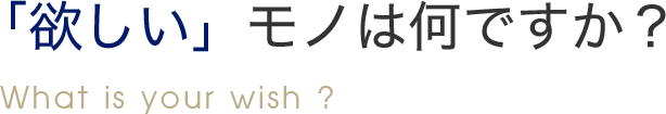 「欲しい」モノは何ですか? What is your wish ?